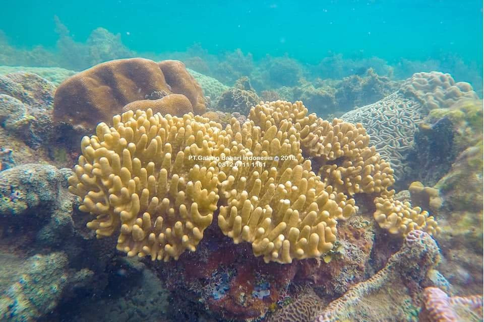 Batam Wisata-Batu Aji必去景点