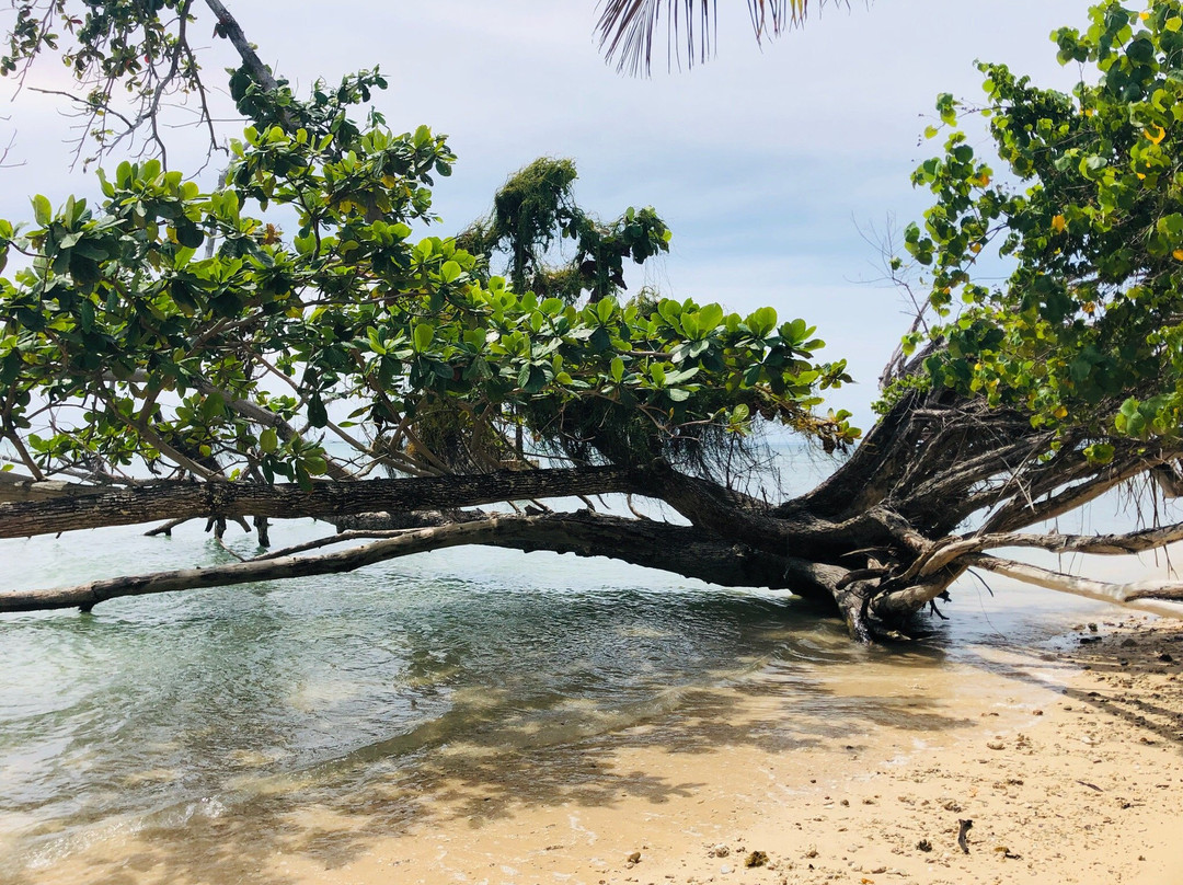 Pulau Rusukan Besar景点图片