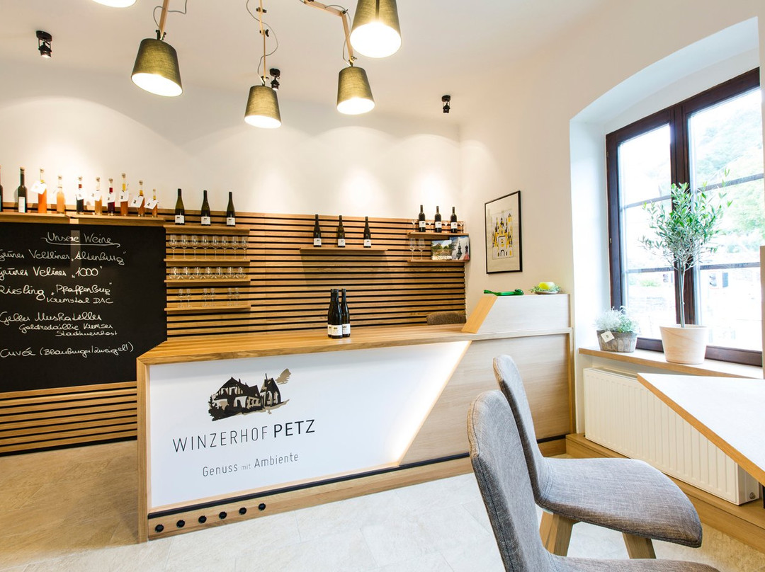 Appartements Weinberg Lodge主图