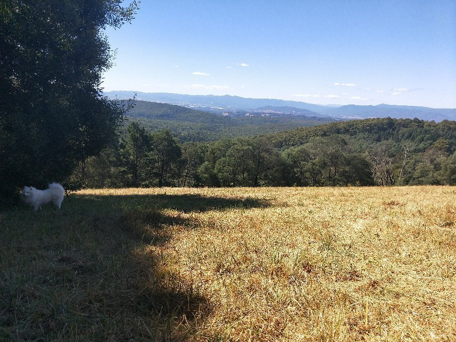 R.J. Hamer Arboretum-奥林达必去景点