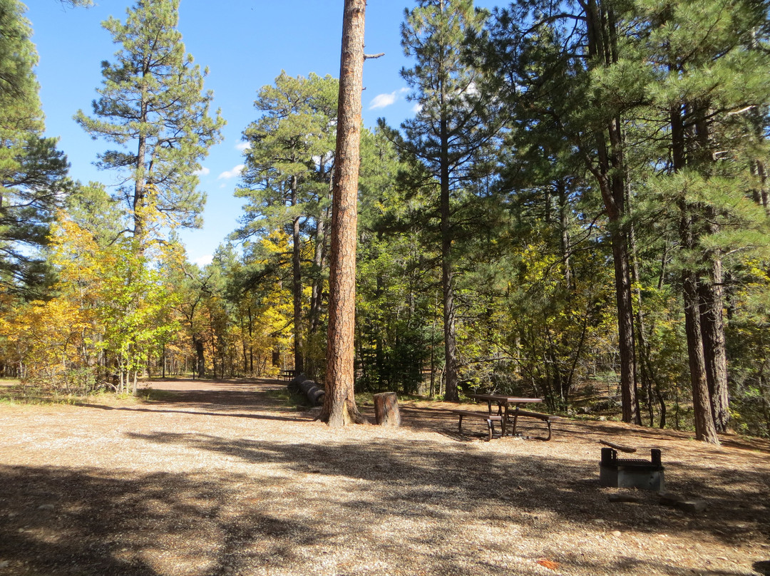 Dairy Springs Campground主图