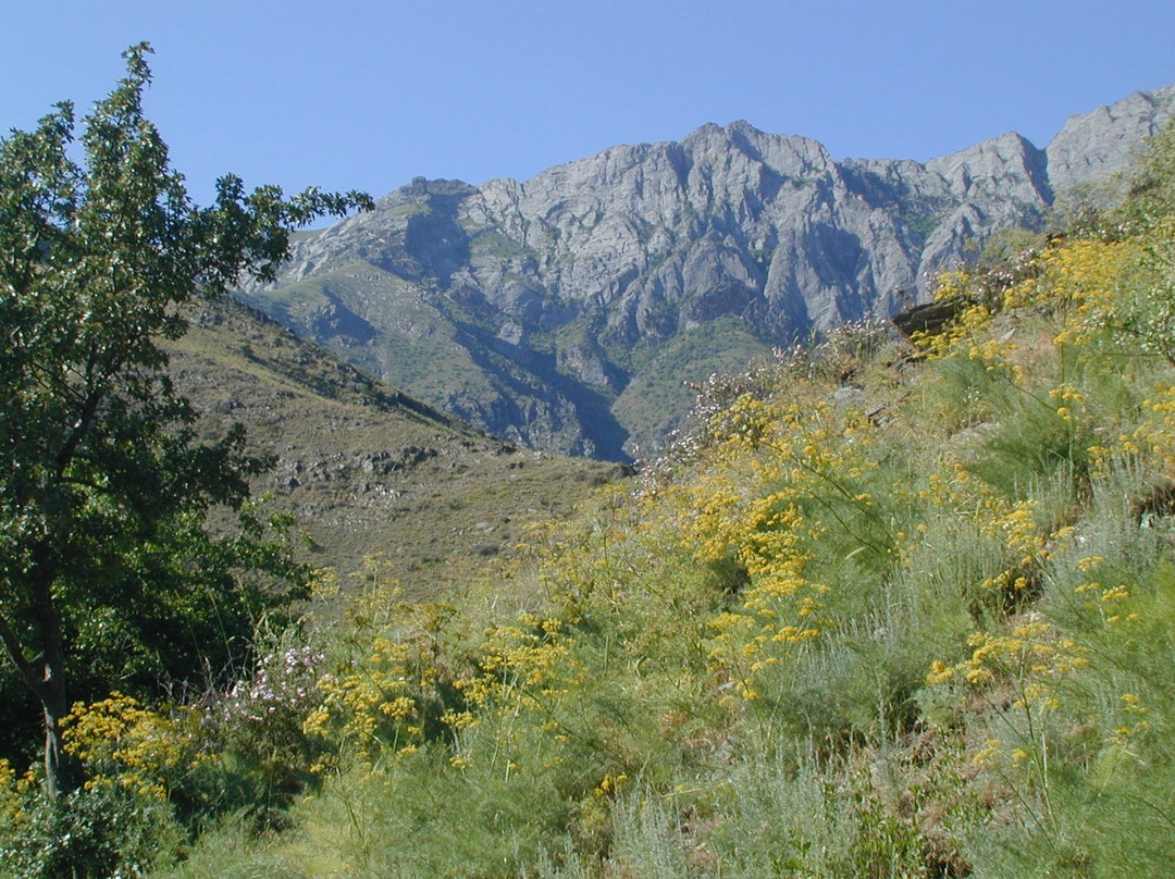 Nuratau Mountains-Jizzakh必去景点