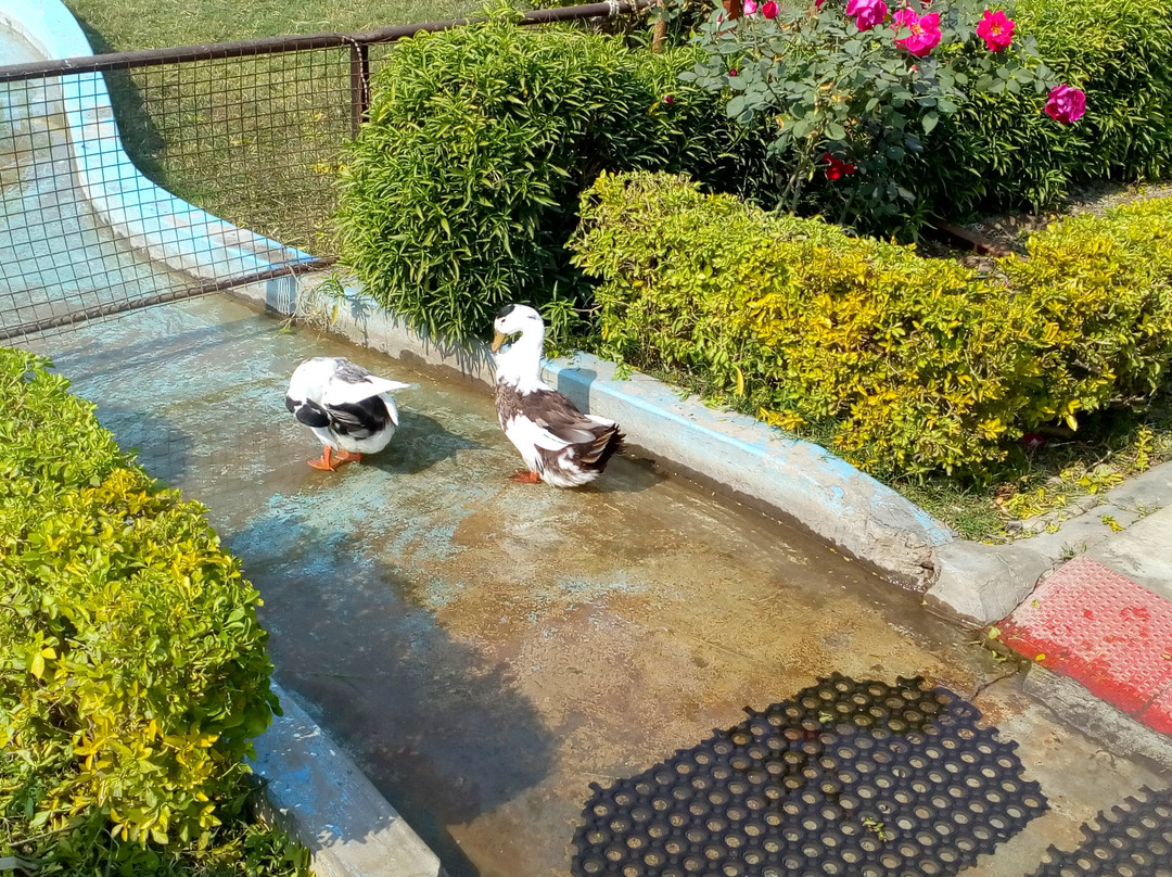 Balajipuram Temple-Betul必去景点
