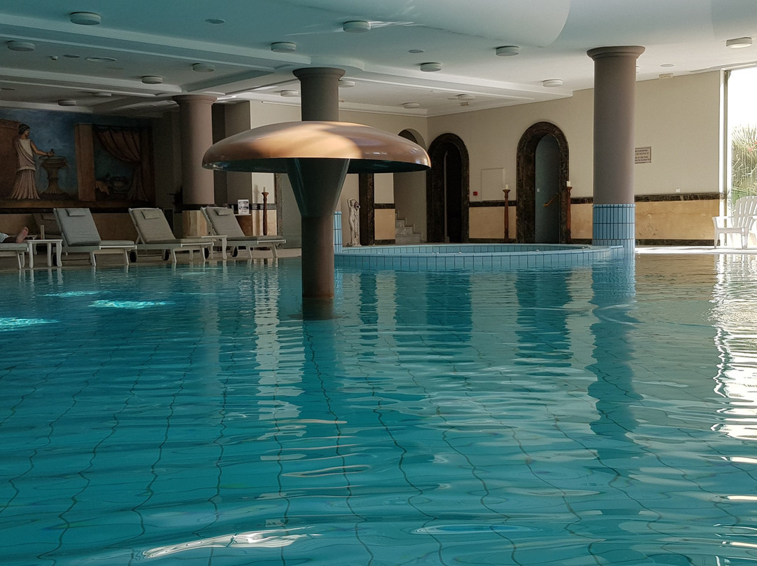 赛拉温泉与健身温泉浴酒店主图