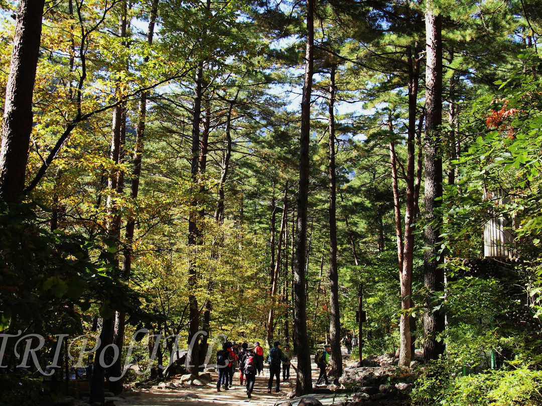 Biseondae Rocks-束草市必去景点
