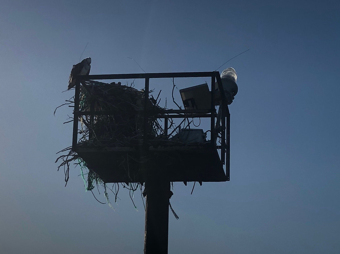 Froggies Ultimate Tours-普罗维登西亚莱斯必去景点