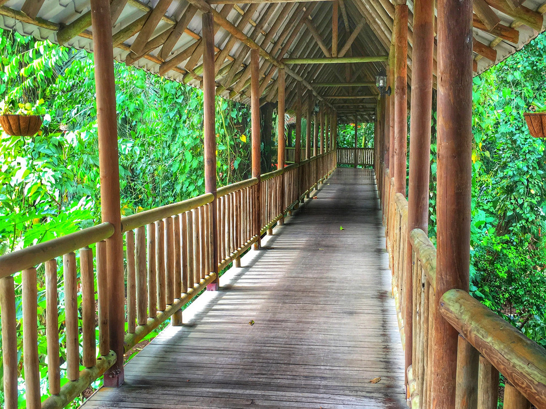 Hotel El Bambu主图