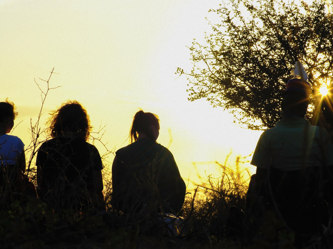 The Safari Vibes-坎帕拉必去景点