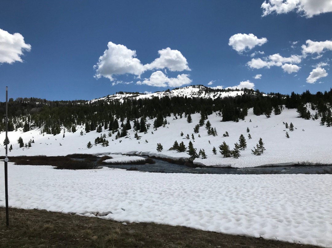 Top of the World Resort along Beartooth Highway主图