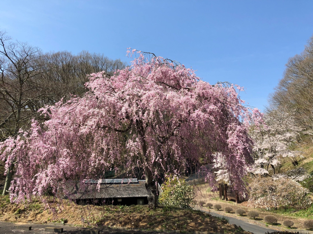 Okuhitachi Kirara no Sato-日立市必去景点