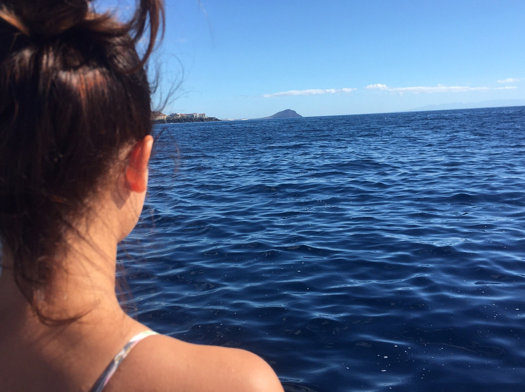 Tenerife Boats-奥德杰海岸必去景点