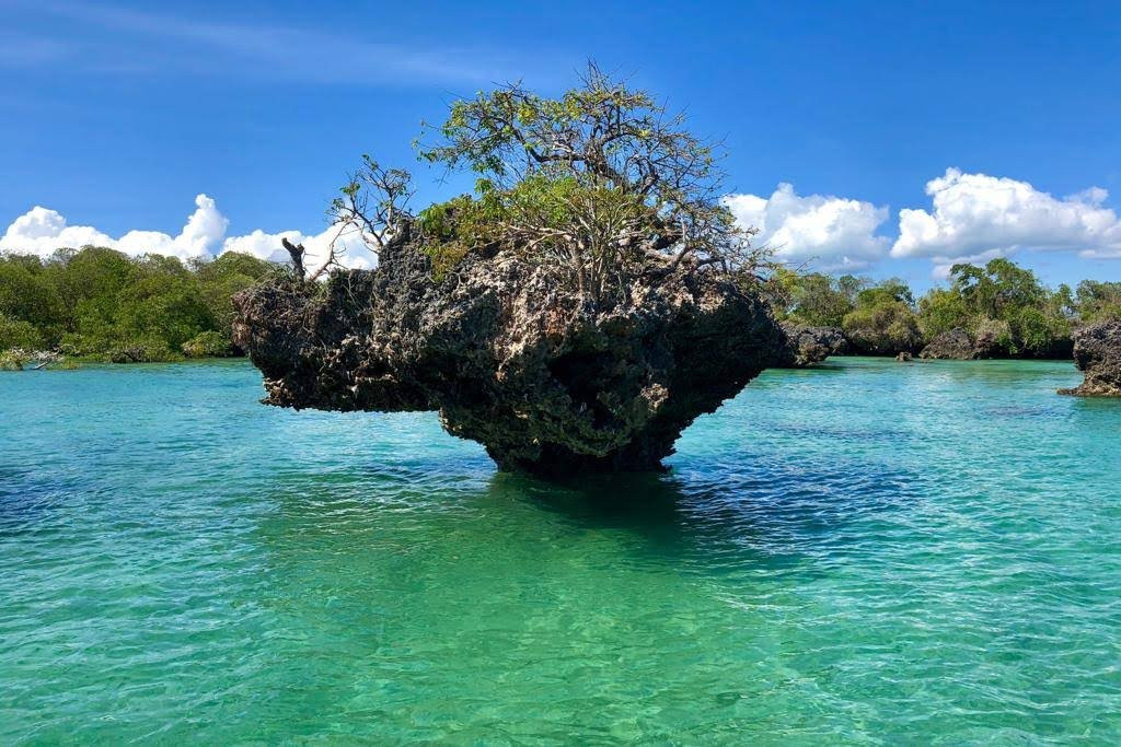 桑给巴尔市旅游攻略图片