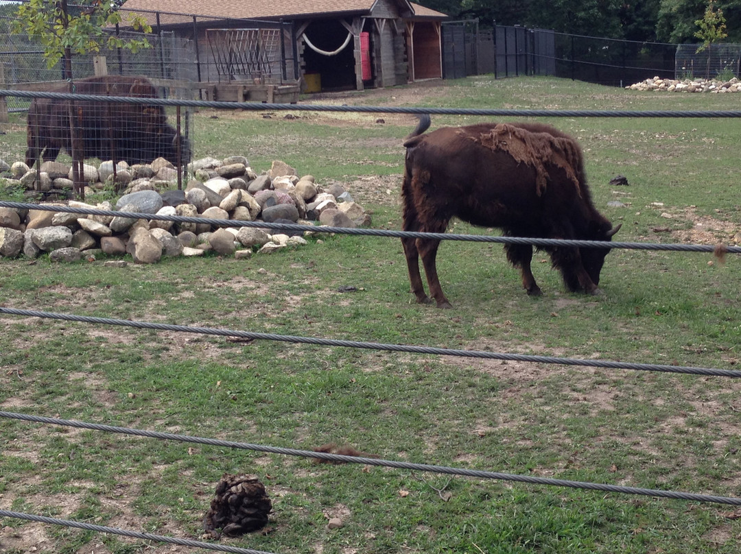 Lords Park-埃尔金必去景点