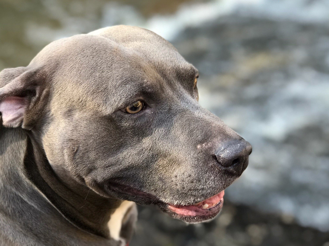 Cochran Mill Nature Center-Palmetto必去景点