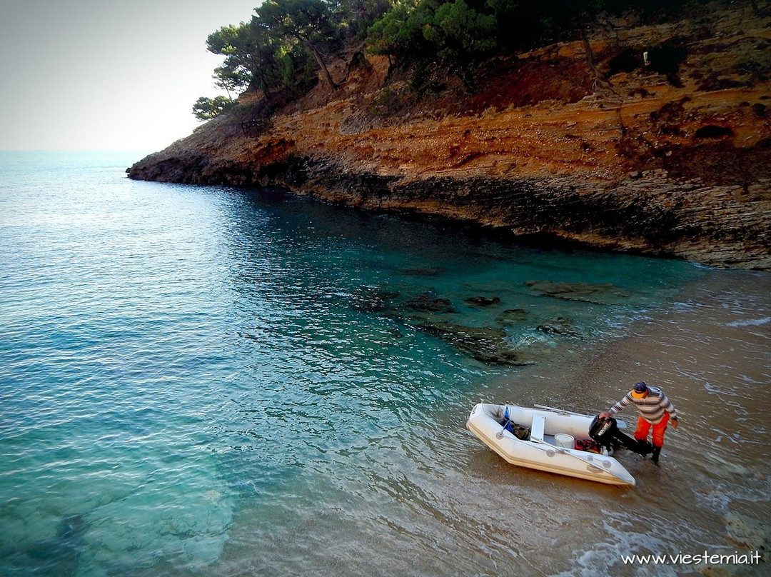 Cala della Pergola-维耶斯泰必去景点