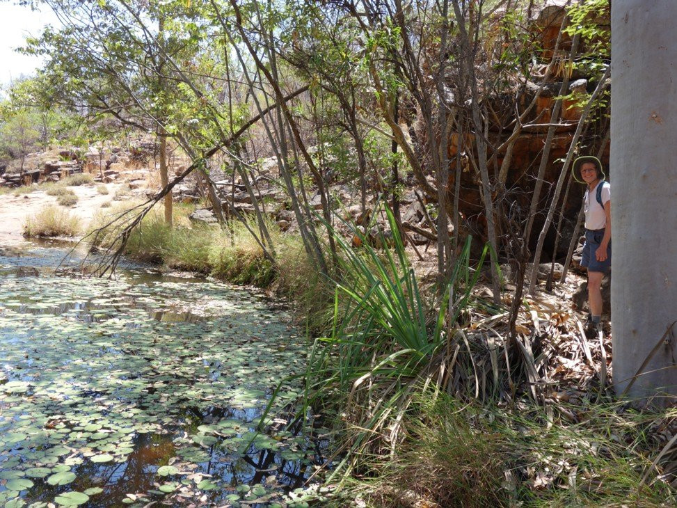 Galvans Gorge-Wunaamin Miliwundi Ranges必去景点