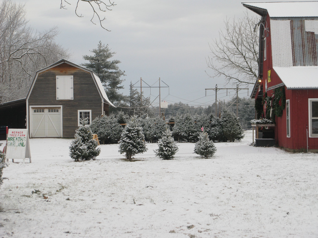 Werner Tree Farm-Middlebury必去景点