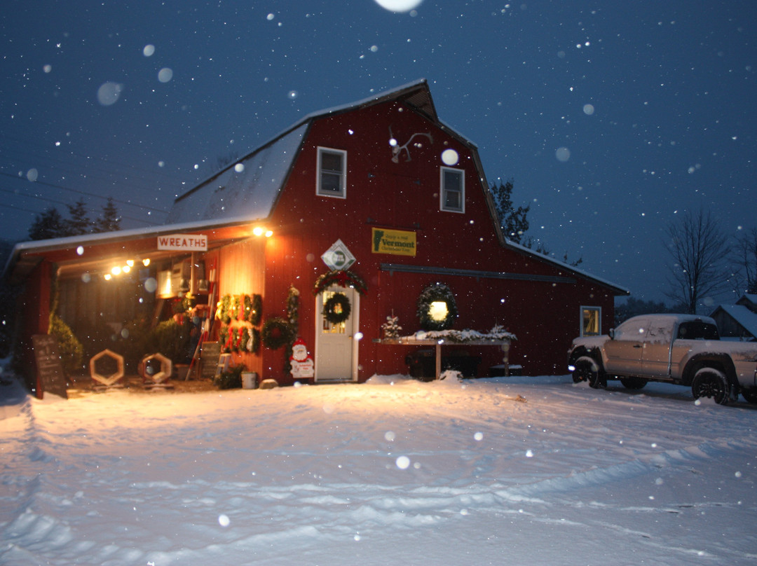 Werner Tree Farm-Middlebury必去景点