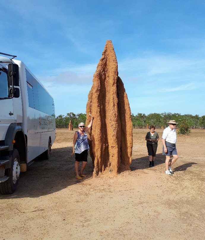 Outback Spirit-凯恩斯必去景点