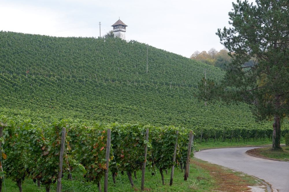 Rebhauschen am Bodensee景点图片