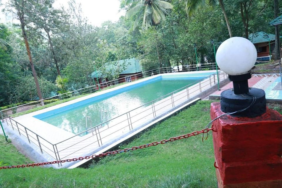 Tree Top Resort主图