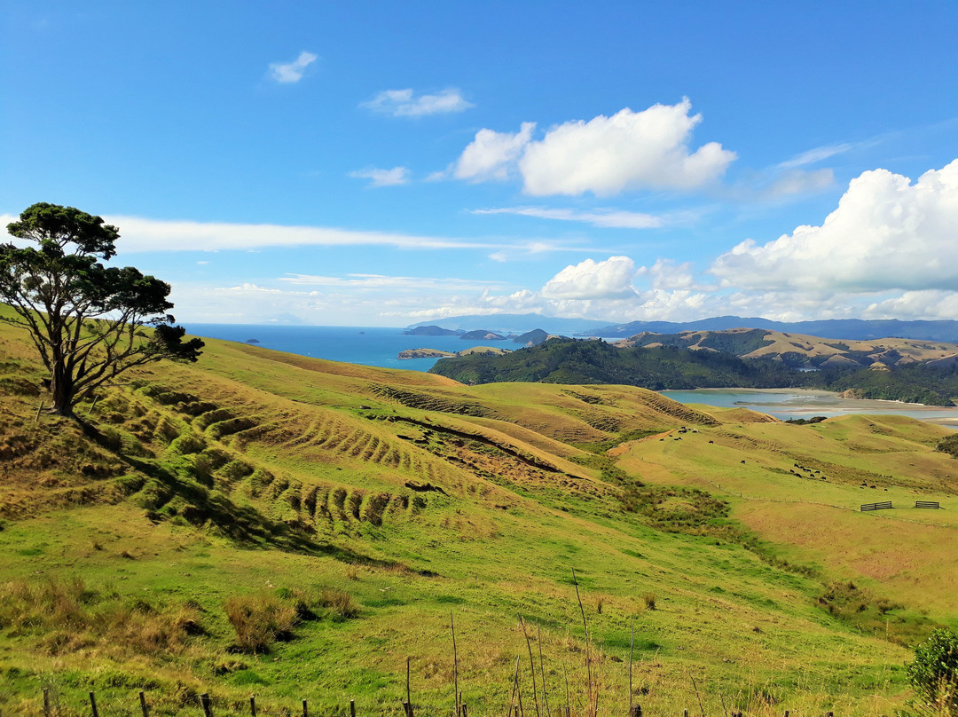 Aotea Roadies - Day Tours-奥克兰中心地区必去景点
