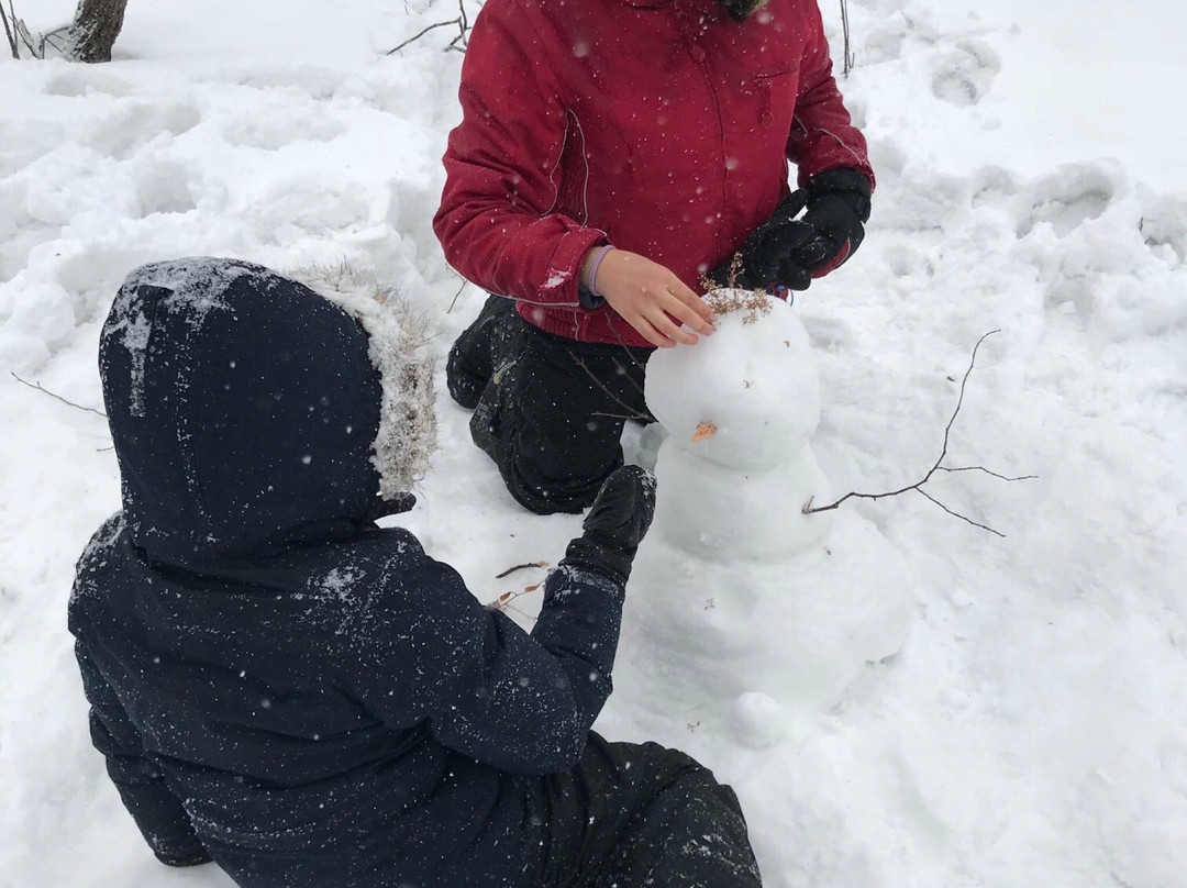 Ski Mont Saint-Bruno-蒙特利尔圣布鲁诺山必去景点