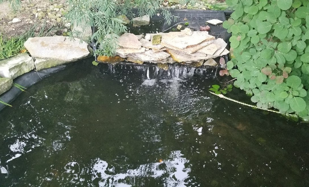The Monet Garden of Muskegon景点图片