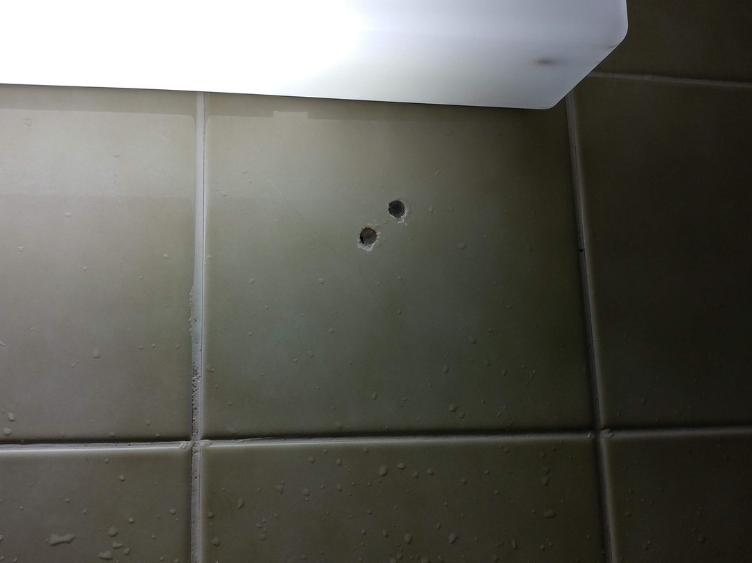 Ribno Alpine Glamping主图