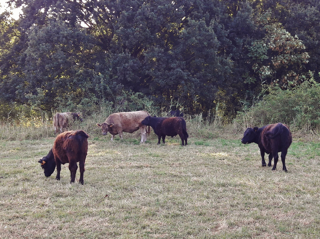 Oude Landen-Ekeren必去景点