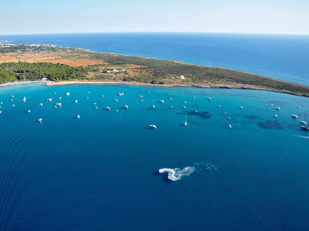 Salento Helicopters-加里波利必去景点