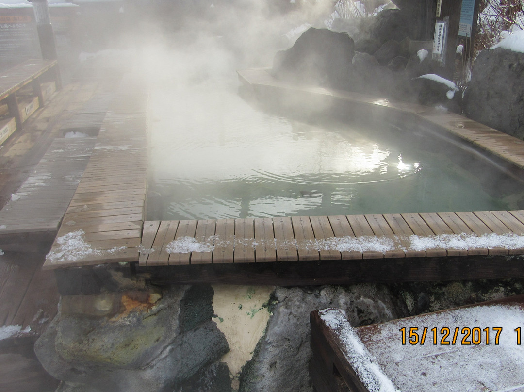 Kawayuonsengai no Ashiyu-弟子屈町必去景点