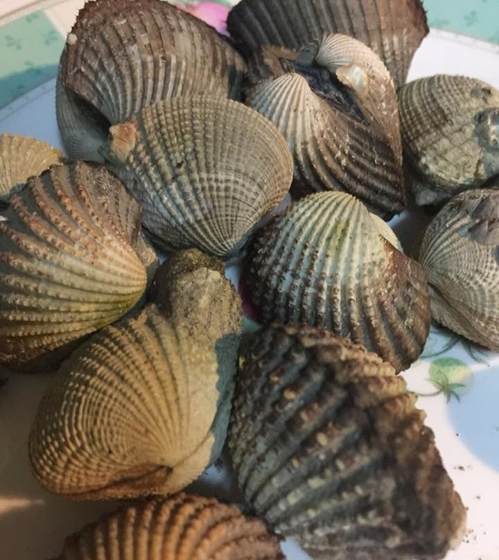 班湄度假村主图