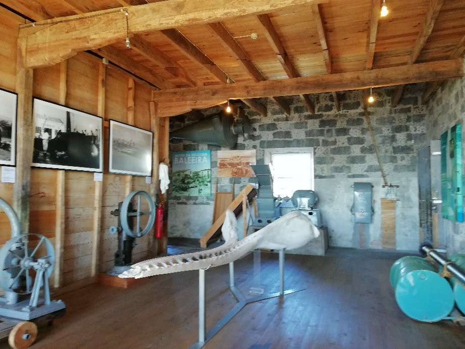 Museu da Industria Baleeira-Sao Roque do Pico必去景点
