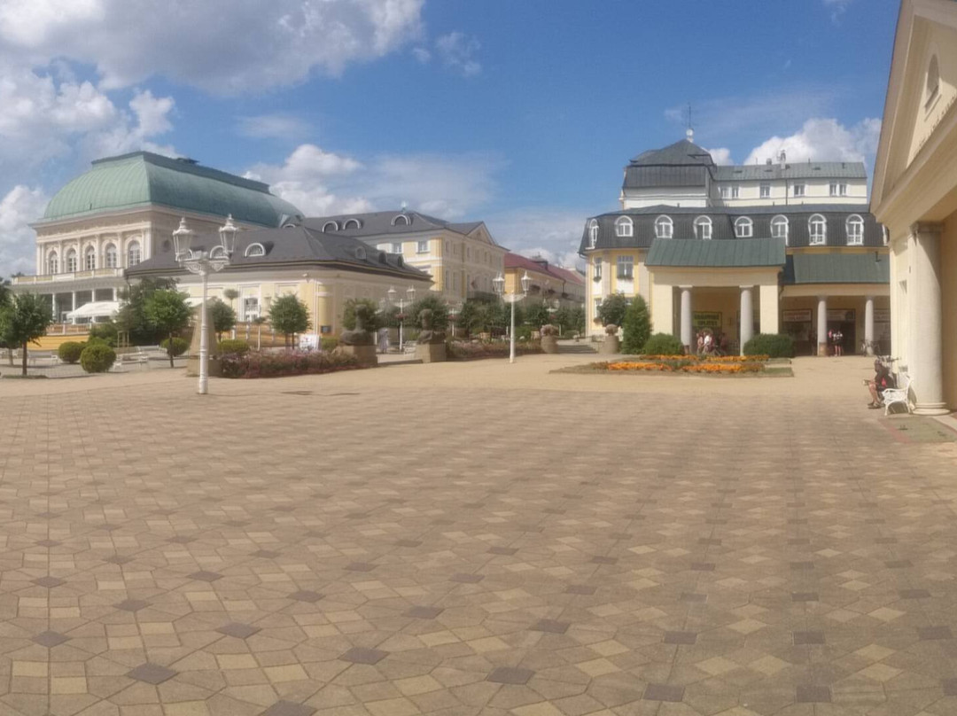 Socha Františka-弗提科维泉市必去景点