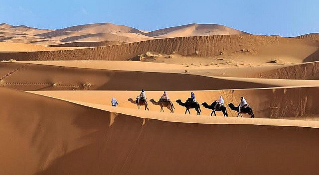 Heritage Morocco Tours-非斯必去景点
