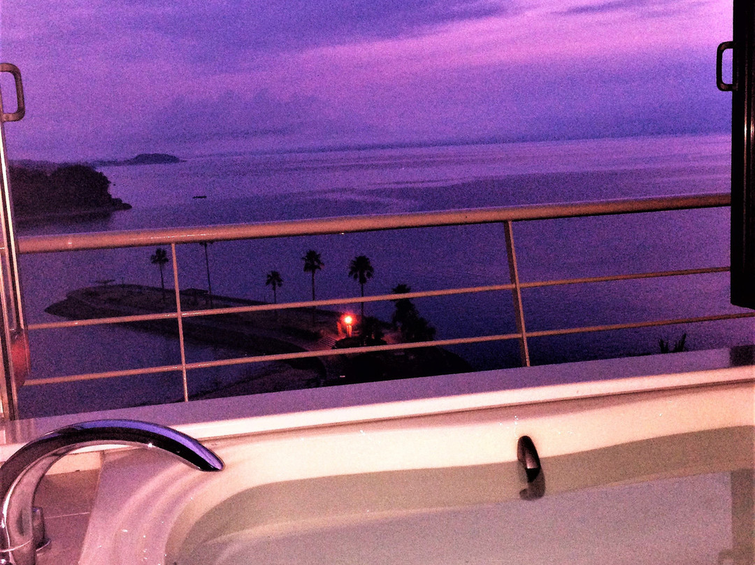 天草阿雷格利亚花园酒店主图