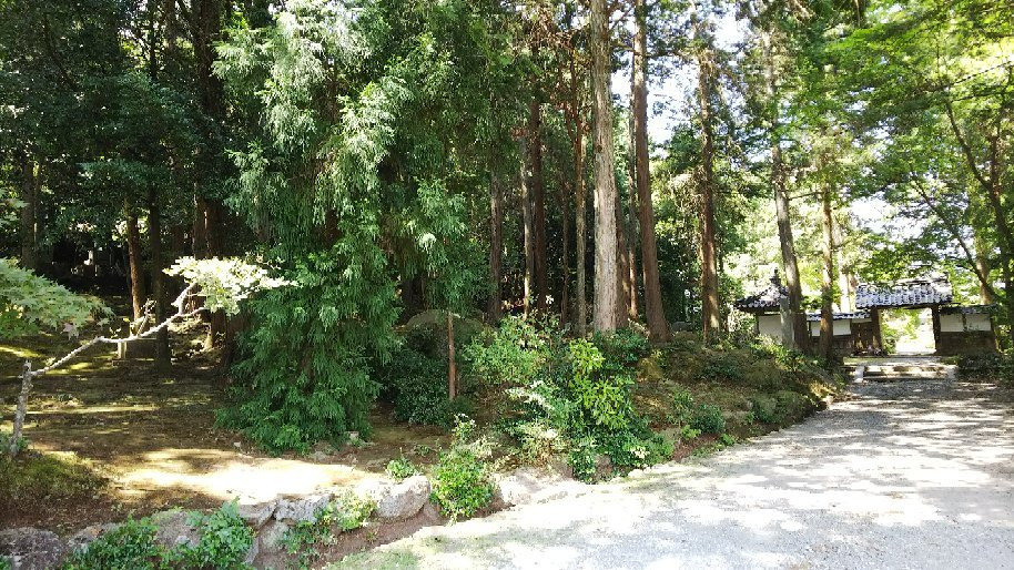 Ryotan-ji Temple-龟冈市必去景点