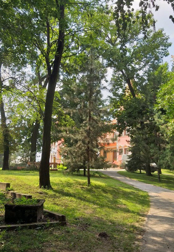 Hotel Villa Majur主图