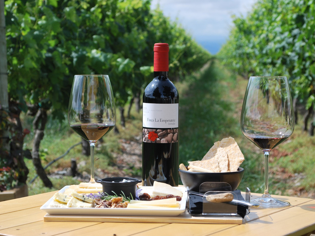 Bodegas Finca La Emperatriz景点图片