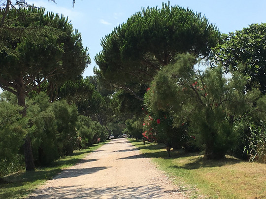 Mas du Grand Peloux主图