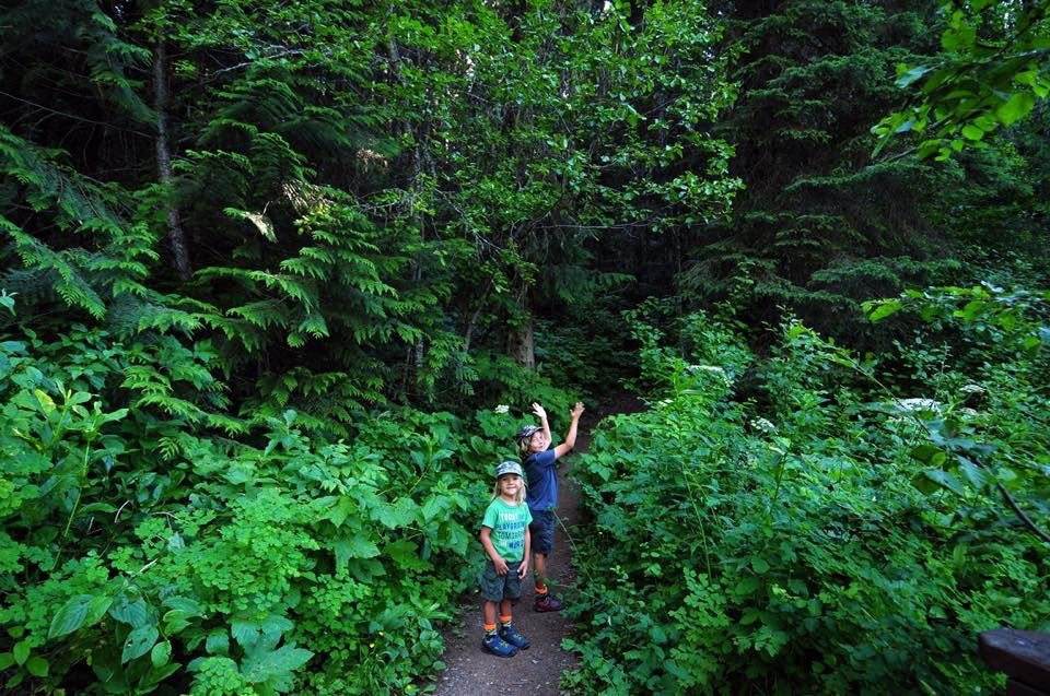 Mount Fernie Provincial Park景点图片