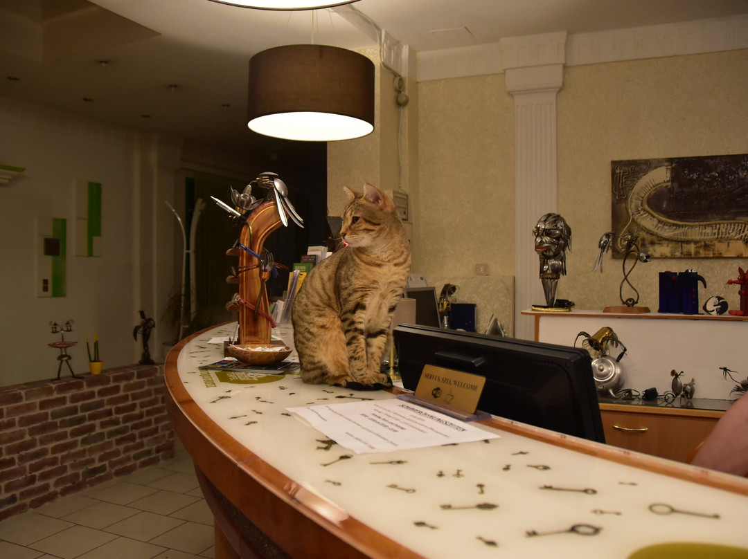 Freizeittempel Hotel主图
