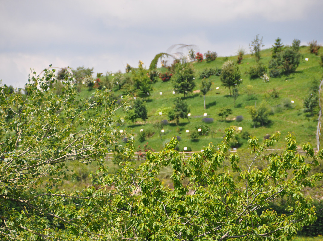 Giardino di Don Zocca-Badia Calavena必去景点