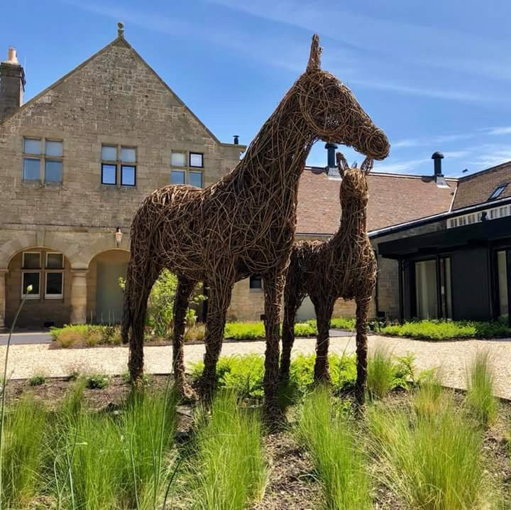 Chesters Stables