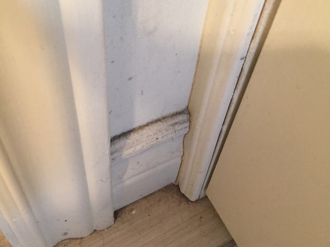 Hotel Le Principal主图