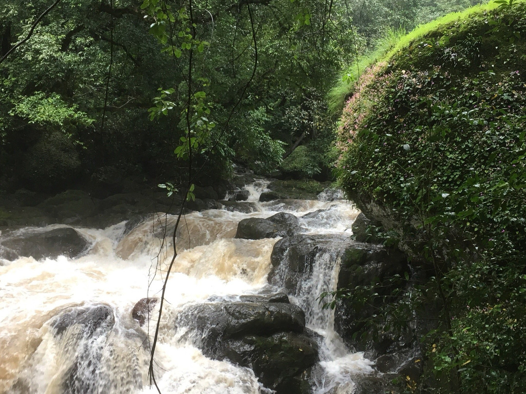 Ozarde Waterfall景点图片