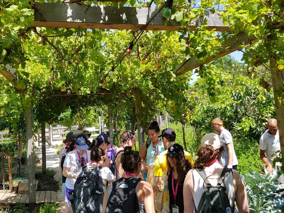 Farm to Table - Halbrecht Farm Food Garden-Kfar Vitkin必去景点