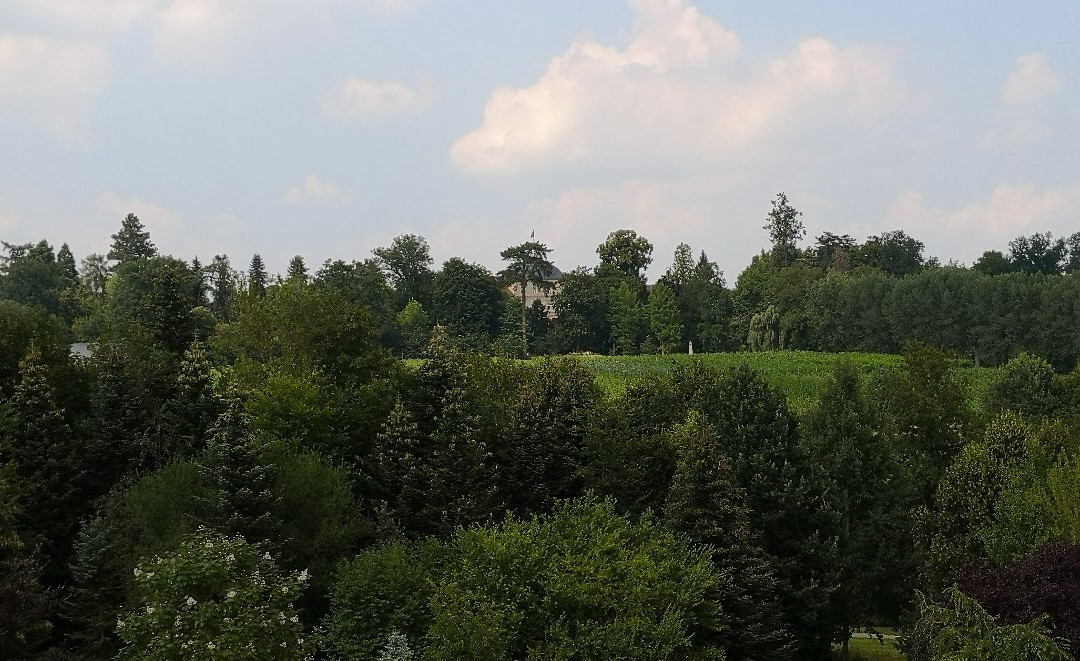 University of Hohenheim景点图片