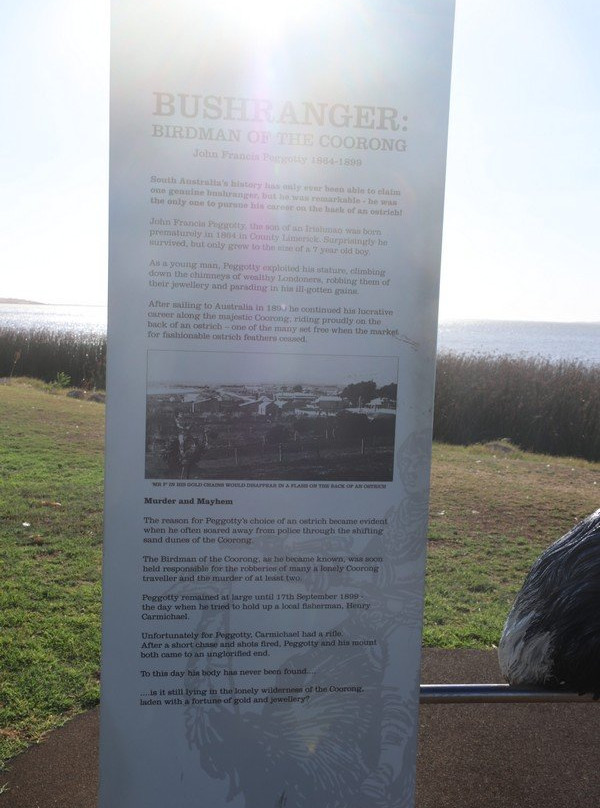 Birdman of the Coorong-Meningie必去景点